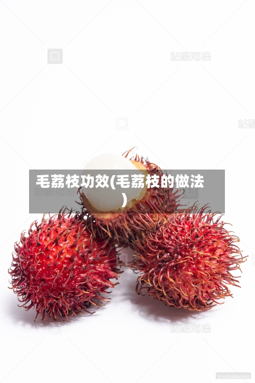 毛荔枝功效(毛荔枝的做法)