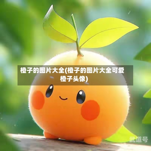 橙子的图片大全(橙子的图片大全可爱橙子头像)
