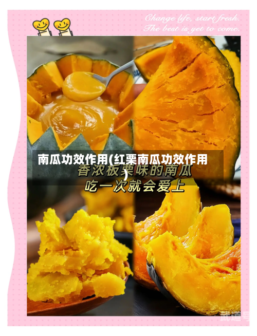 南瓜功效作用(红栗南瓜功效作用)