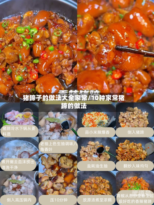 猪蹄子的做法大全家常/10种家常猪蹄的做法