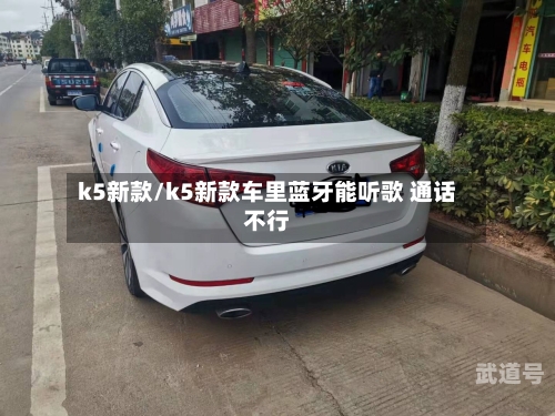 k5新款/k5新款车里蓝牙能听歌 通话不行
