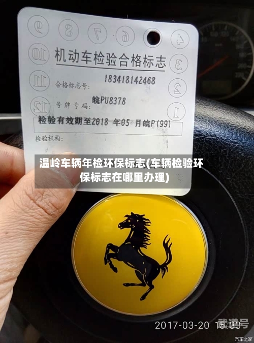 温岭车辆年检环保标志(车辆检验环保标志在哪里办理)