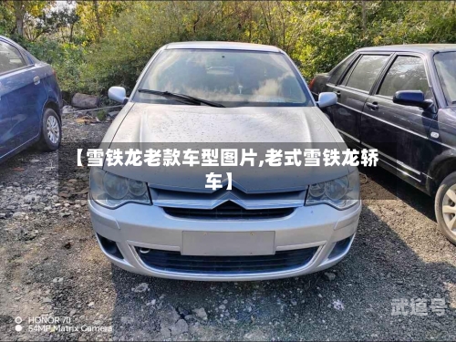 【雪铁龙老款车型图片,老式雪铁龙轿车】