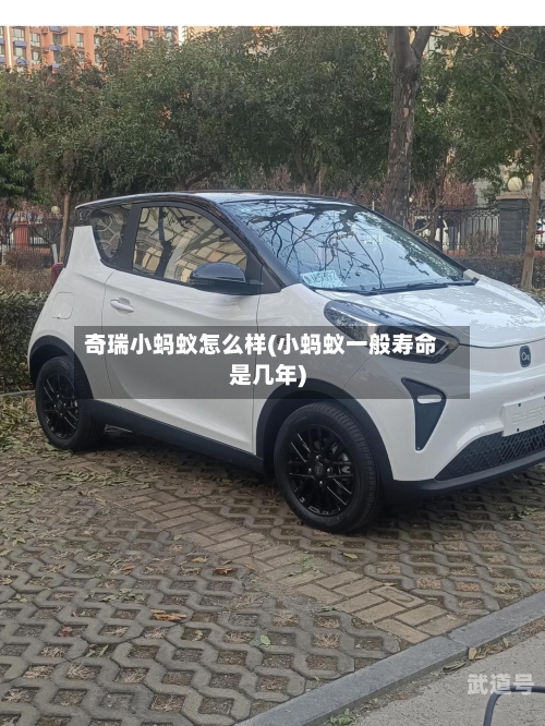 奇瑞小蚂蚁怎么样(小蚂蚁一般寿命是几年)