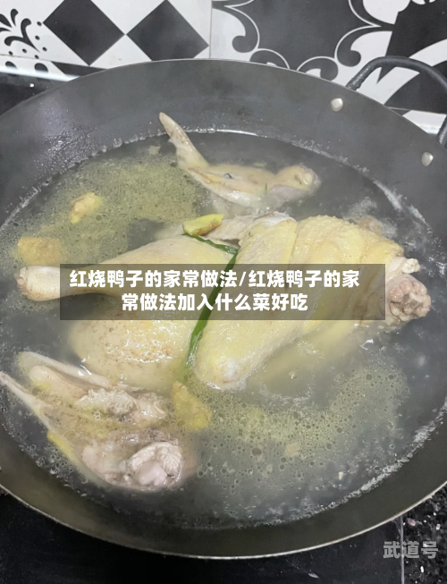 红烧鸭子的家常做法/红烧鸭子的家常做法加入什么菜好吃