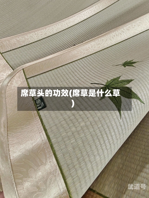 席草头的功效(席草是什么草)