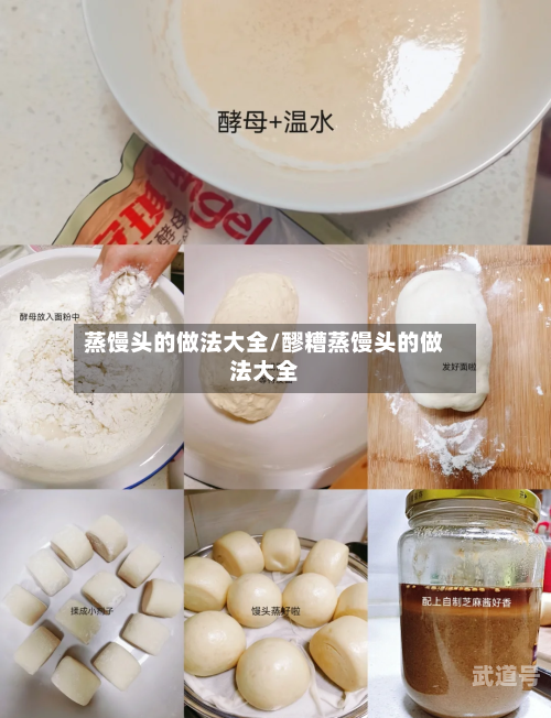 蒸馒头的做法大全/醪糟蒸馒头的做法大全