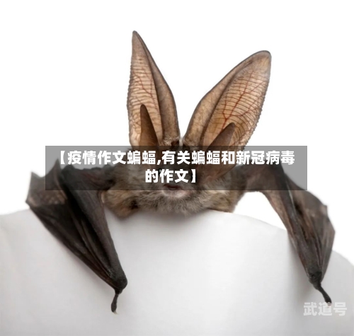 【疫情作文蝙蝠,有关蝙蝠和新冠病毒的作文】