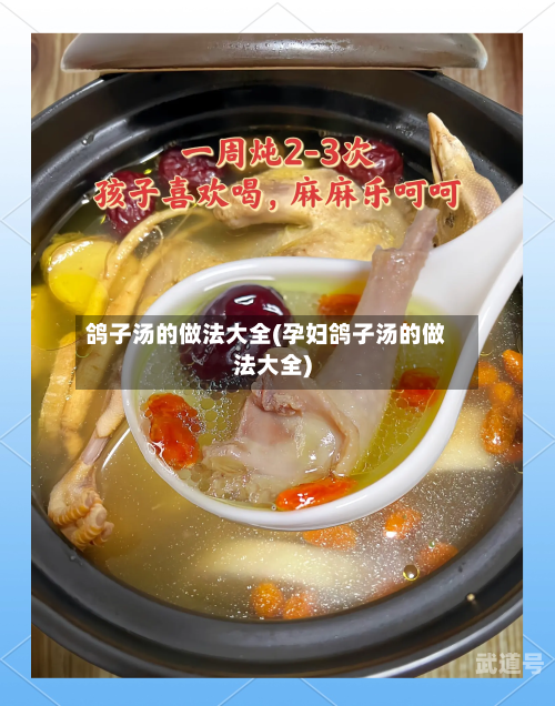鸽子汤的做法大全(孕妇鸽子汤的做法大全)