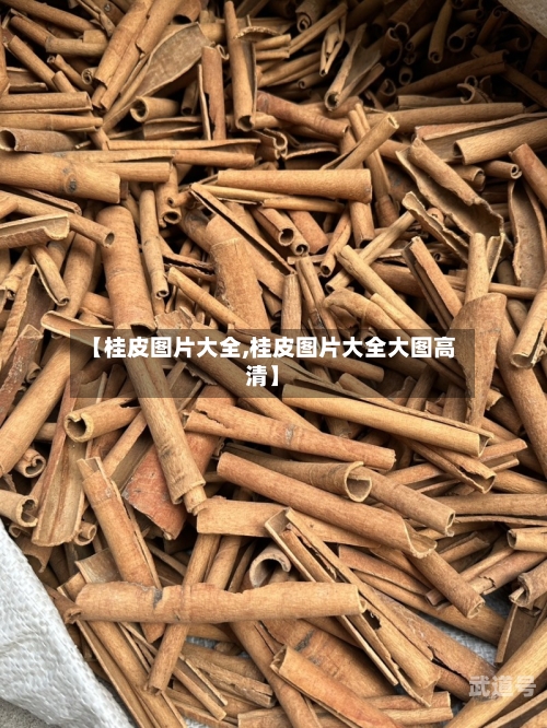 【桂皮图片大全,桂皮图片大全大图高清】