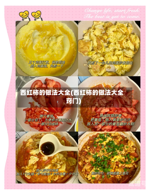 西红柿的做法大全(西红柿的做法大全窍门)