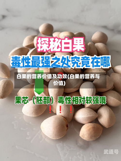 白果的营养价值及功效(白果的营养与价值)