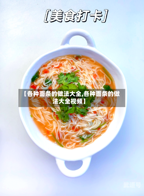【各种面条的做法大全,各种面条的做法大全视频】