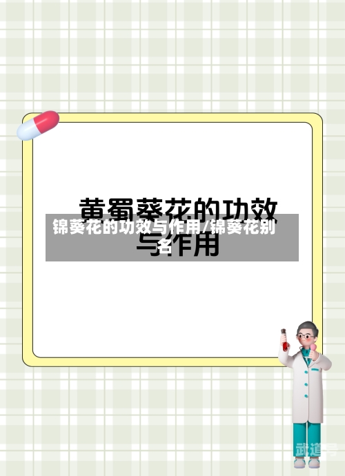 锦葵花的功效与作用/锦葵花别名