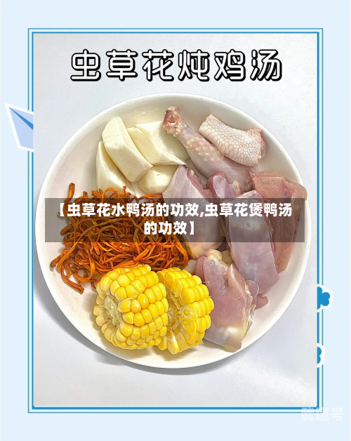 【虫草花水鸭汤的功效,虫草花煲鸭汤的功效】