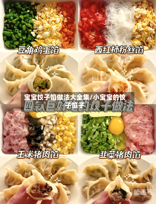 宝宝饺子馅做法大全集/小宝宝的饺子馅子