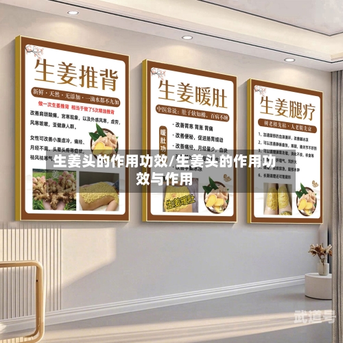 生姜头的作用功效/生姜头的作用功效与作用