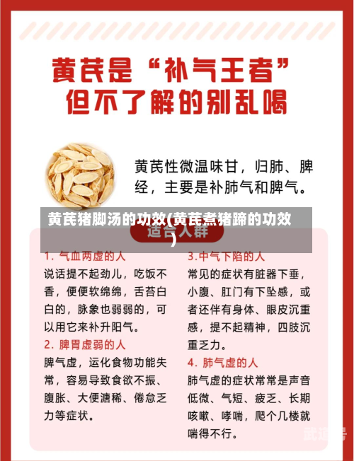 黄芪猪脚汤的功效(黄芪煮猪蹄的功效)