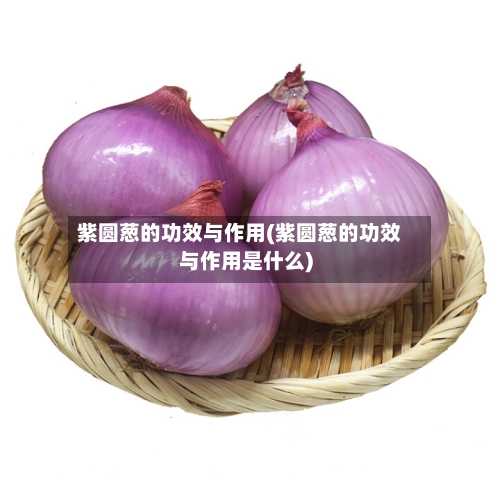 紫圆葱的功效与作用(紫圆葱的功效与作用是什么)