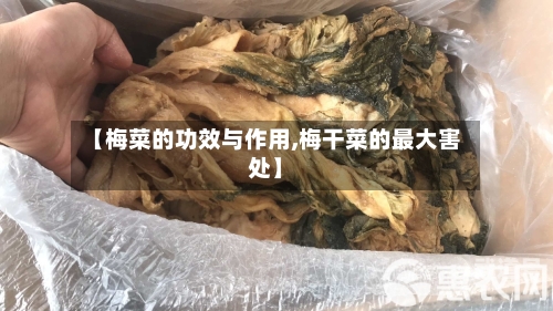【梅菜的功效与作用,梅干菜的最大害处】