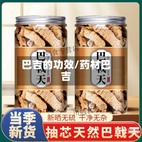 巴吉的功效/药材巴吉