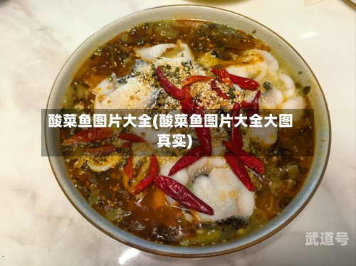 酸菜鱼图片大全(酸菜鱼图片大全大图真实)
