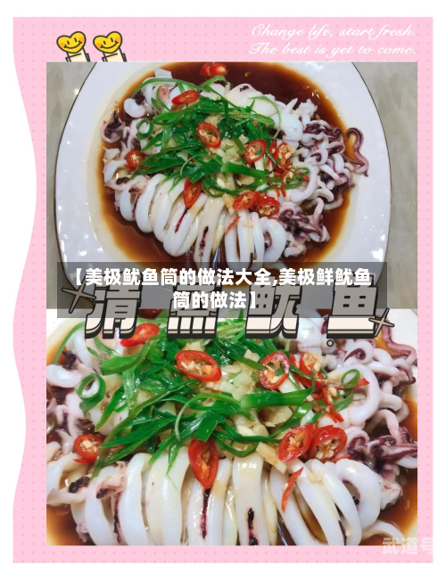 【美极鱿鱼筒的做法大全,美极鲜鱿鱼筒的做法】