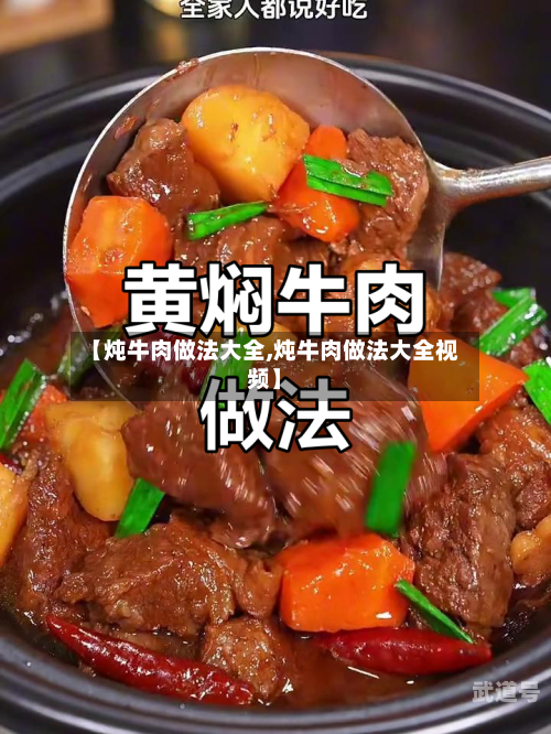 【炖牛肉做法大全,炖牛肉做法大全视频】