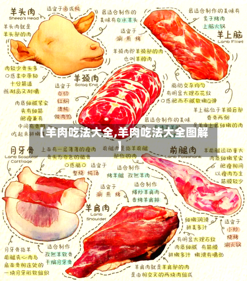 【羊肉吃法大全,羊肉吃法大全图解】
