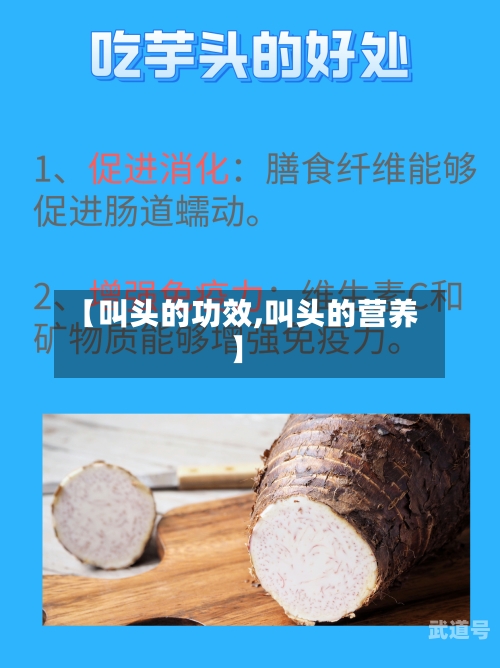 【叫头的功效,叫头的营养】