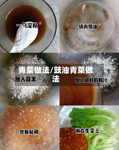 青菜做法/豉油青菜做法
