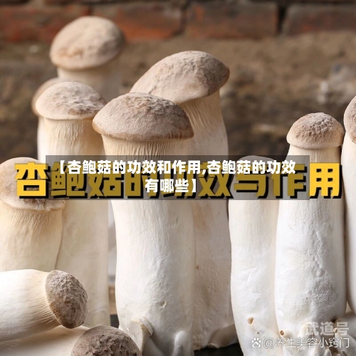 【杏鲍菇的功效和作用,杏鲍菇的功效有哪些】