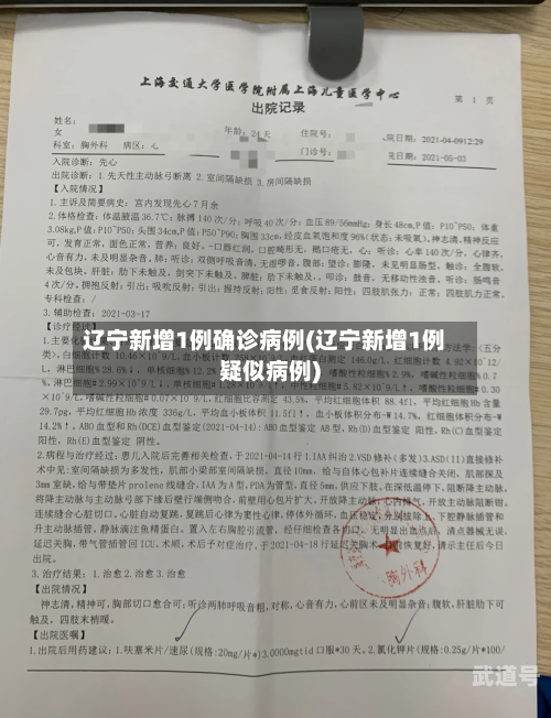 辽宁新增1例确诊病例(辽宁新增1例疑似病例)