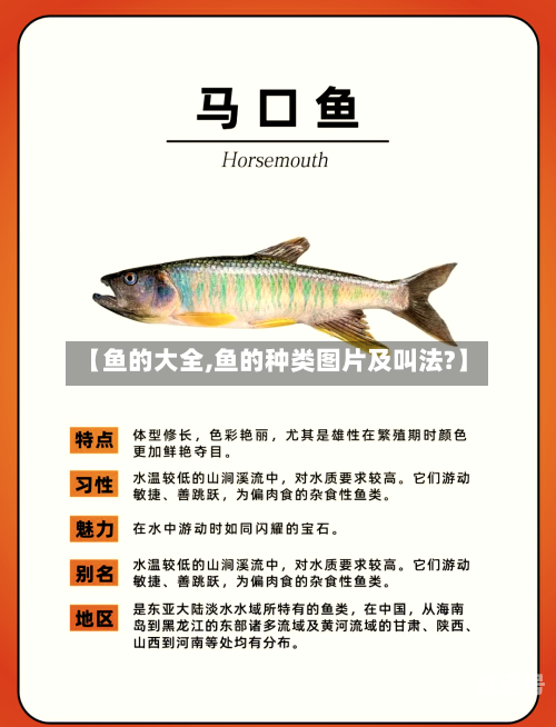 【鱼的大全,鱼的种类图片及叫法?】