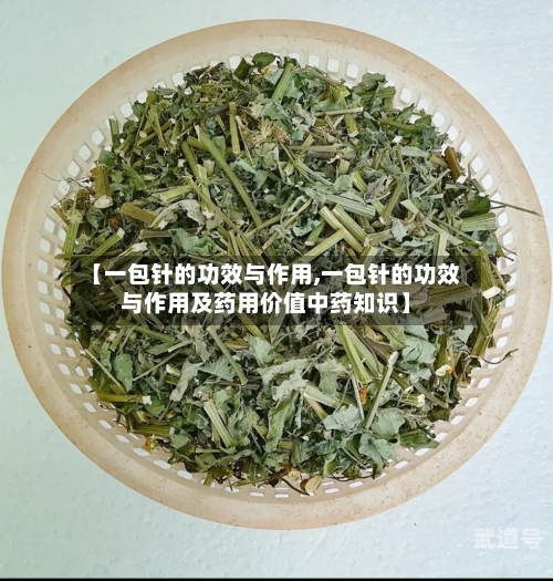 【一包针的功效与作用,一包针的功效与作用及药用价值中药知识】