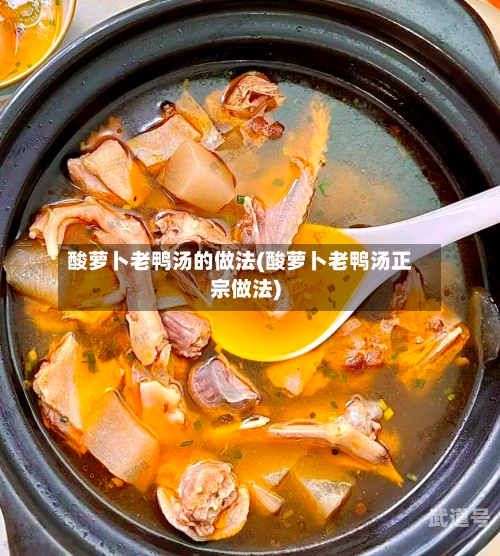 酸萝卜老鸭汤的做法(酸萝卜老鸭汤正宗做法)