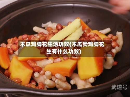 木瓜鸡脚花生汤功效(木瓜煲鸡脚花生有什么功效)