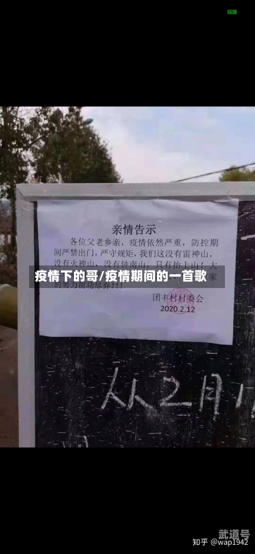 疫情下的哥/疫情期间的一首歌