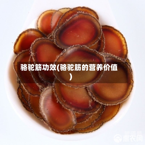 骆驼筋功效(骆驼筋的营养价值)