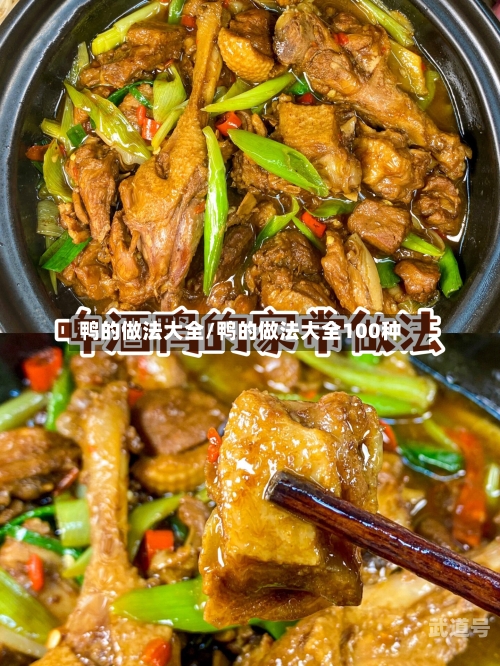 鸭的做法大全/鸭的做法大全100种