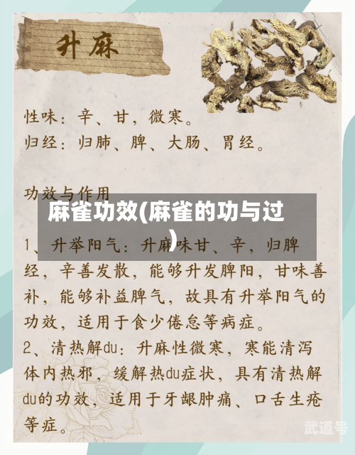 麻雀功效(麻雀的功与过)