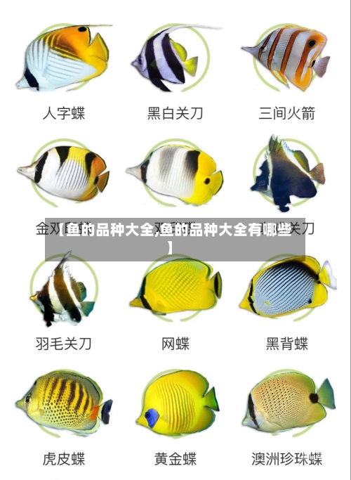 【鱼的品种大全,鱼的品种大全有哪些】