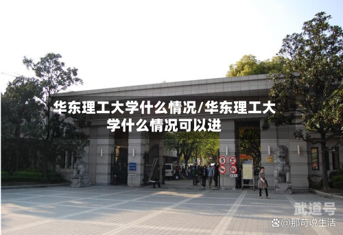华东理工大学什么情况/华东理工大学什么情况可以进
