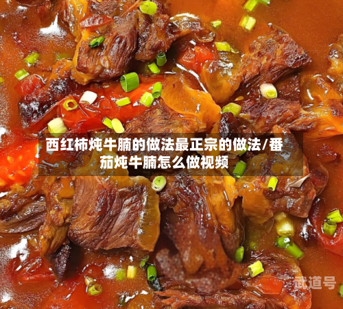 西红柿炖牛腩的做法最正宗的做法/番茄炖牛腩怎么做视频
