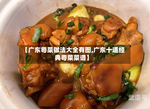 【广东粤菜做法大全有图,广东十道经典粤菜菜谱】