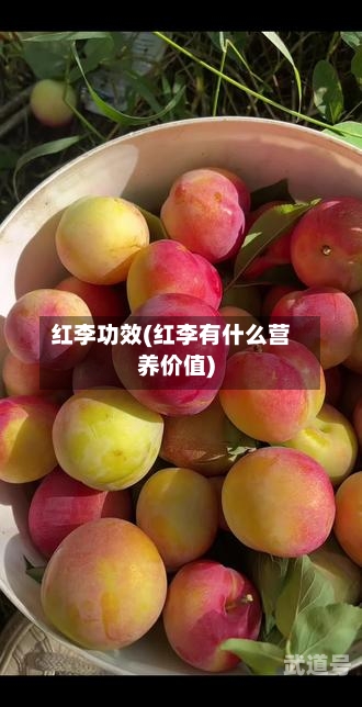 红李功效(红李有什么营养价值)