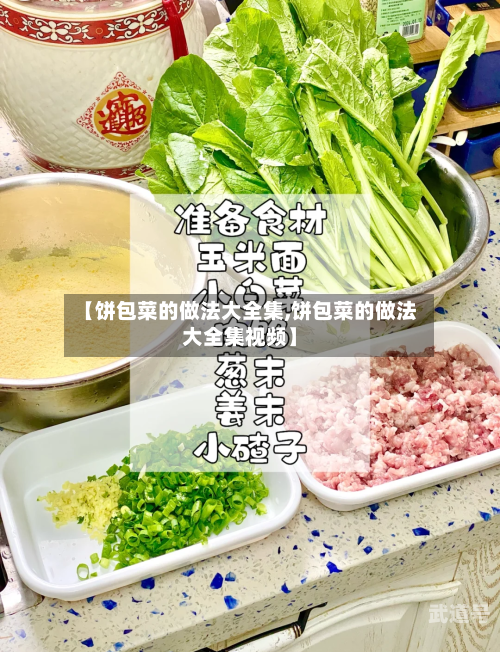 【饼包菜的做法大全集,饼包菜的做法大全集视频】