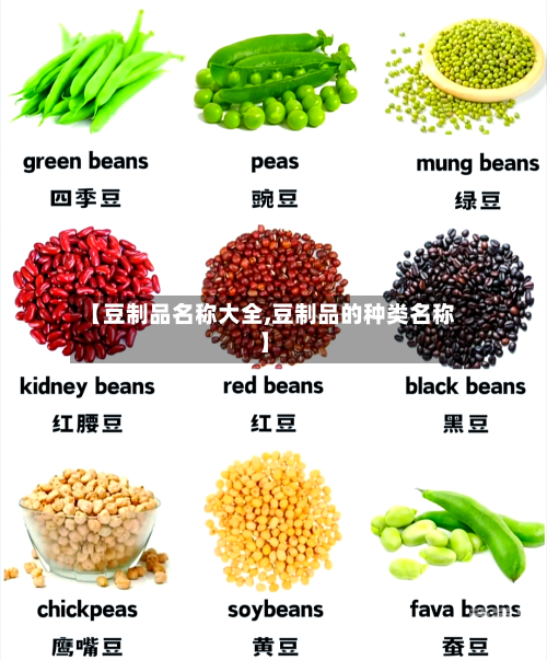 【豆制品名称大全,豆制品的种类名称】
