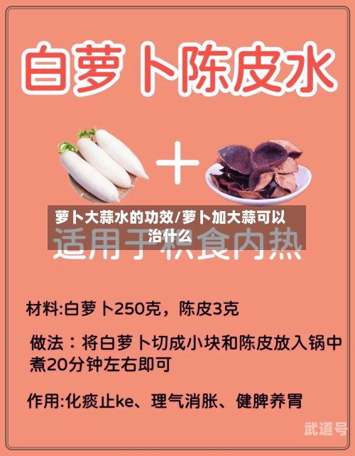 萝卜大蒜水的功效/萝卜加大蒜可以治什么