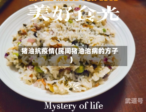 猪油抗疫情(民间猪油治病的方子)